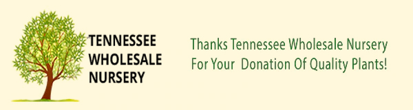 Tennessee Wholesale Nursery thank you image